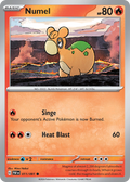 Numel - 011/091 - Paldean Fates