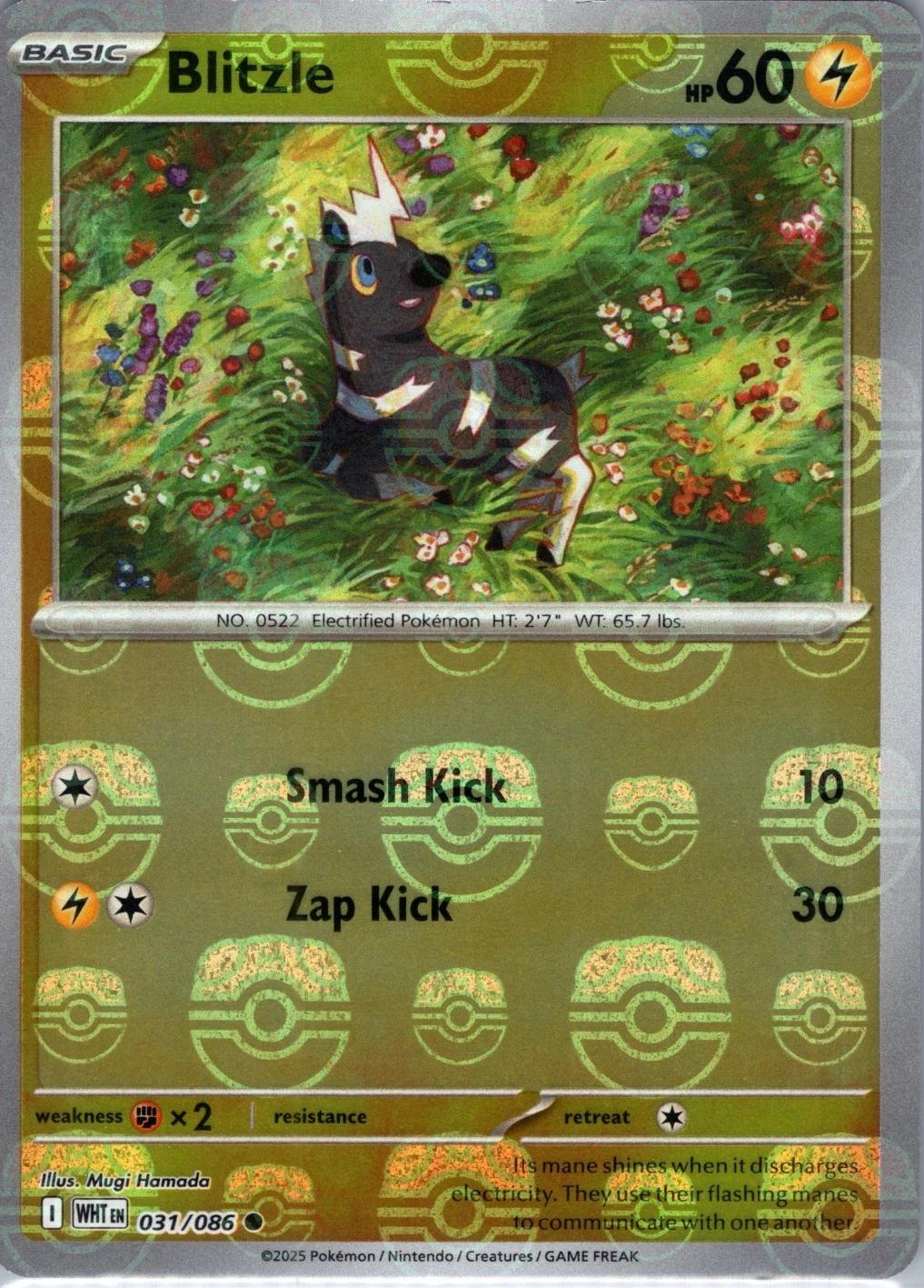 Blitzle - 031/086 - SV: White Flare (WHT) (Master Ball Pattern)