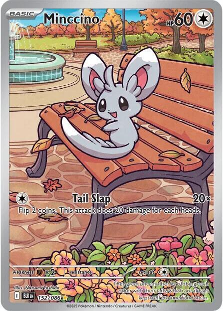 Minccino - 152/086 - SV: Black Bolt (BLK)