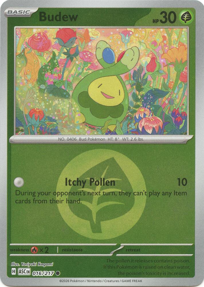 Budew - 016/217 - Ascended Heroes (me02.5) (Energy Symbol Pattern)