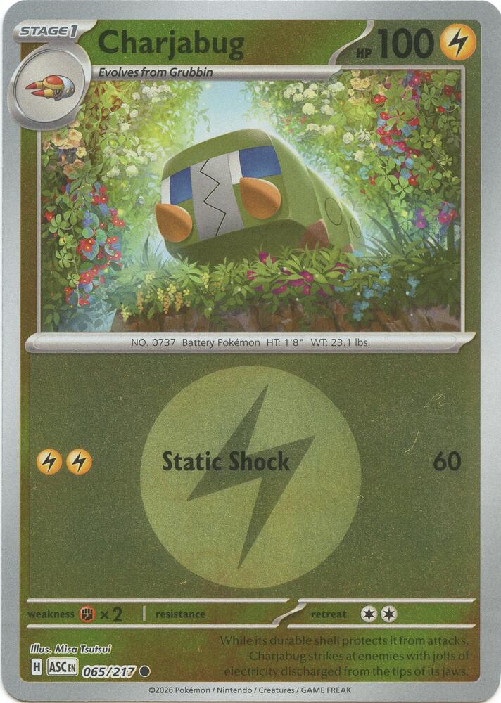Charjabug - 065/217 - Ascended Heroes (me02.5) (Energy Symbol Pattern)