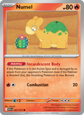 Numel - 027/217 - Ascended Heroes (me02.5)